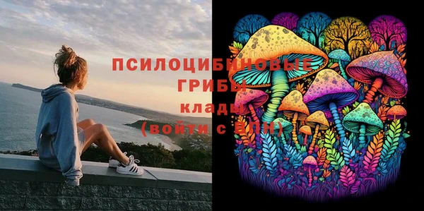 тгк Абдулино