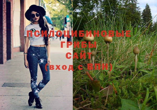 шишки Абинск