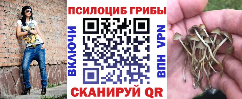 Псилоцибиновые грибы MAGIC MUSHROOMS  кракен вход  Серафимович 